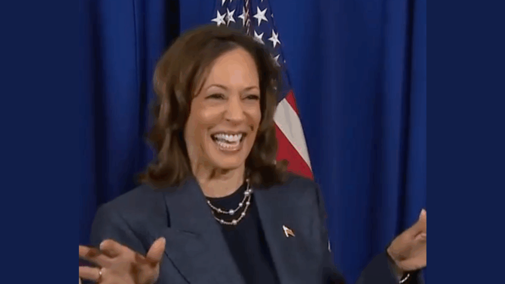 Cash-Poor Democrats Are STILL Struggling to Bail Out the Failed Kamala Harris Campaign and Her Efforts to Help Them Have Failed | The Gateway Pundit