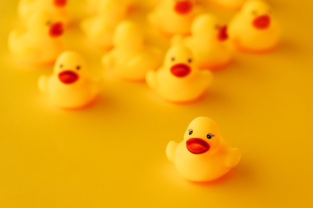 What Are Key Aspects of Leadership Development?
