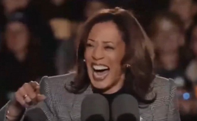 Democratic National Committee STILL Struggling to Pay Off Kamala Harris Campaign Debt Nearly a Year Later | The Gateway Pundit