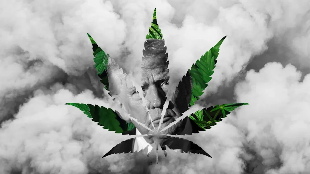 Cannabis stocks surge on Trump’s rumored Schedule 3 marijuana change. How high can pot shares get?