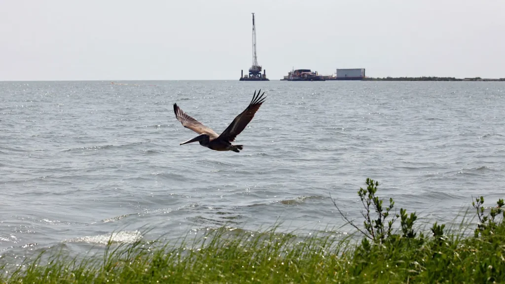 Texas firm hit with a record $9.6 million fine after a Gulf of Mexico oil spill