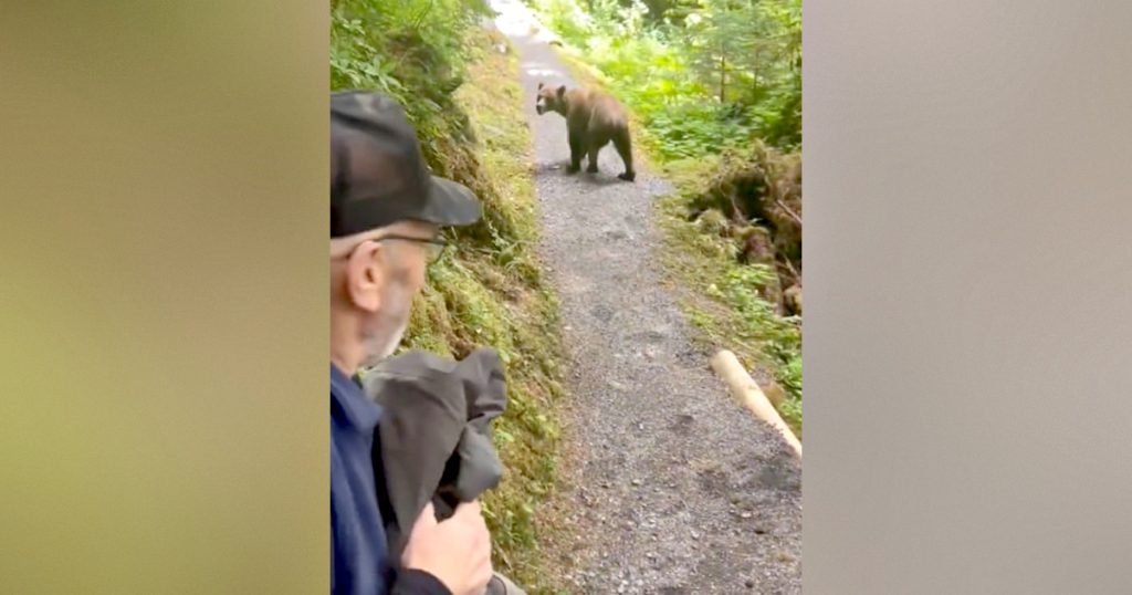 Hikers in Alaska Have Face-to-Face Encounter With Grizzly Bear in Terrifying Moment Caught on Viral Video * The Gateway Pundit * by Paul Serran