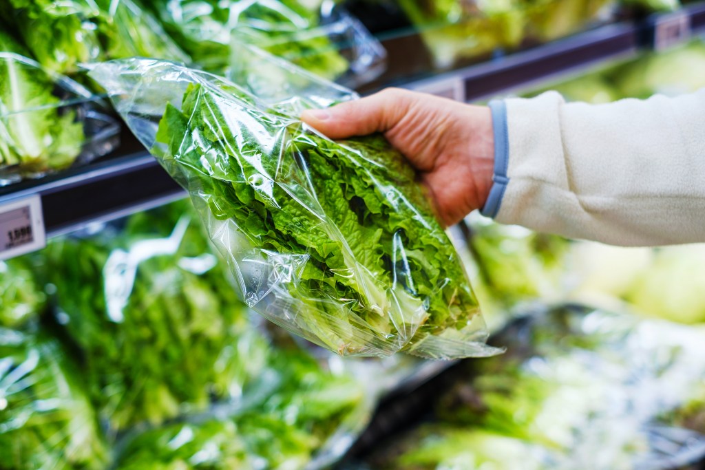 Parasite Outbreak Sends Lettuce Industry Into a PR Crisis