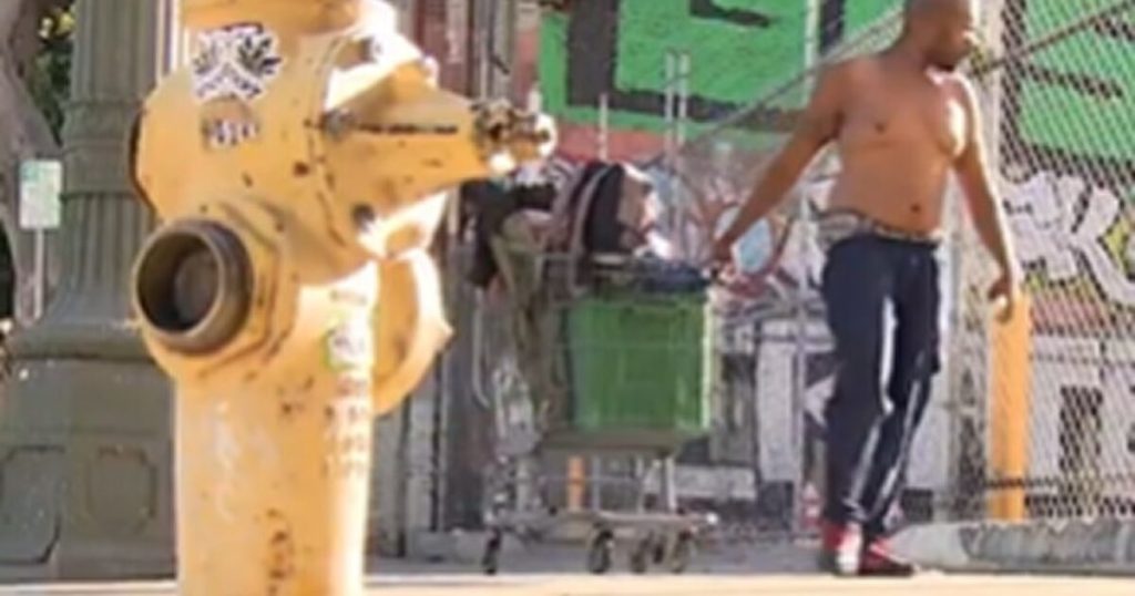 The Number of Homeless People in Los Angeles is RISING Despite Billions in Spending (VIDEO) * The Gateway Pundit * by Mike LaChance