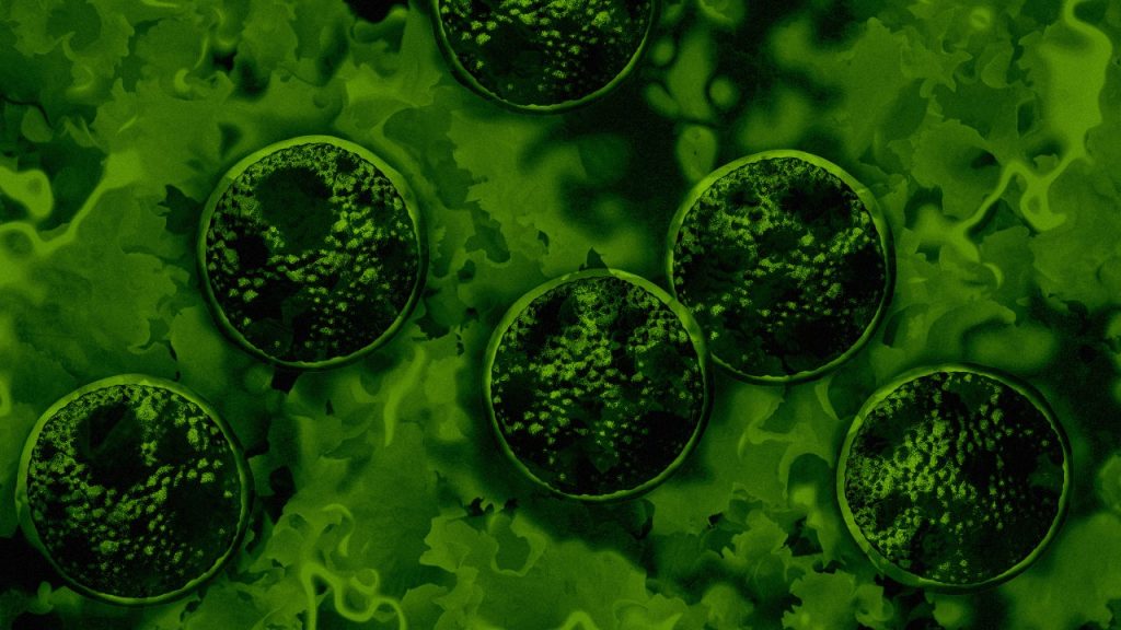 Cyclosporiasis update: CDC says parasite outbreak just spread to 4 new states. Full list of where to skip the lettuce