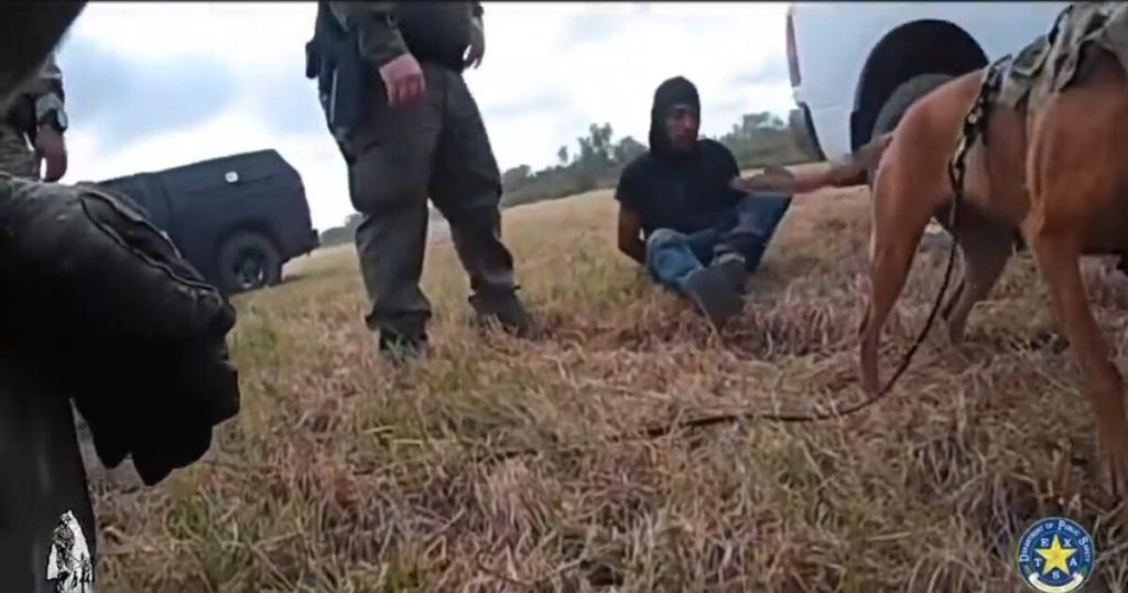 Texas DPS K-9 Locates Criminal Illegal Alien MS-13 Gang Member in Brush During 5 Mile Trek (VIDEO) * The Gateway Pundit * by David Greyson
