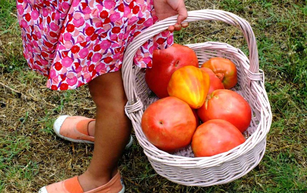 Trump’s Cuts Kill a LA Youth Garden