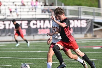 Young Cardinals Building Momentum in Right Direction