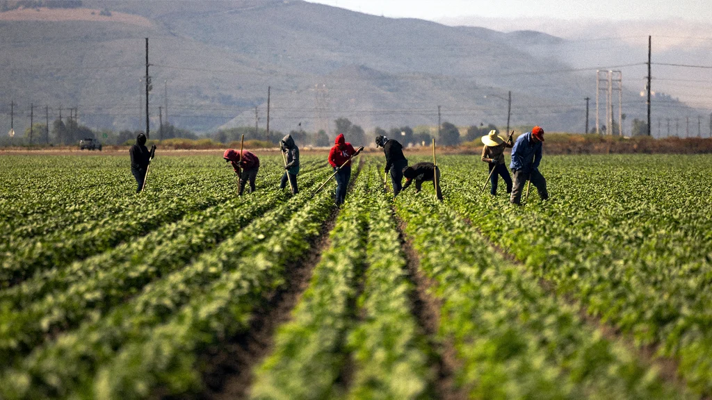 Farmworkers across 22 states will get free access to electrolytes to combat dangerous heat stress
