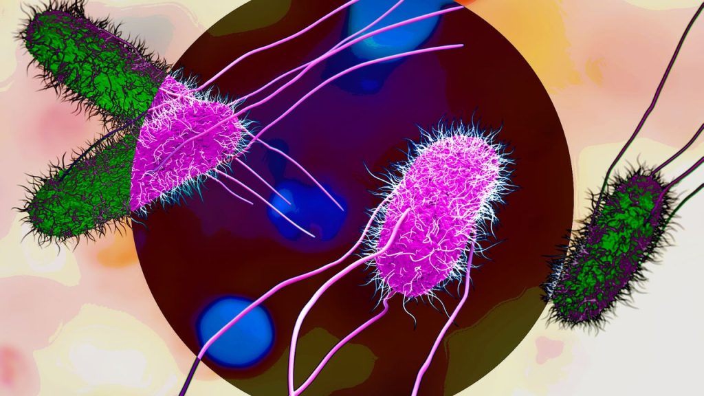 Dozens hospitalized as dual Salmonella outbreaks spread to more than 30 states: Avoid these products