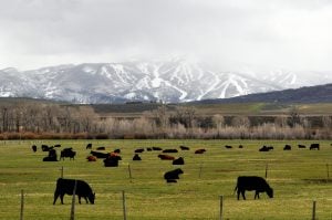 Boulder’s Climate Case Could Reshape Western Slope Economies
